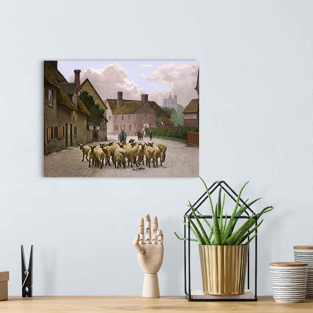 A bohemian room featuring Sheep in the Village Street