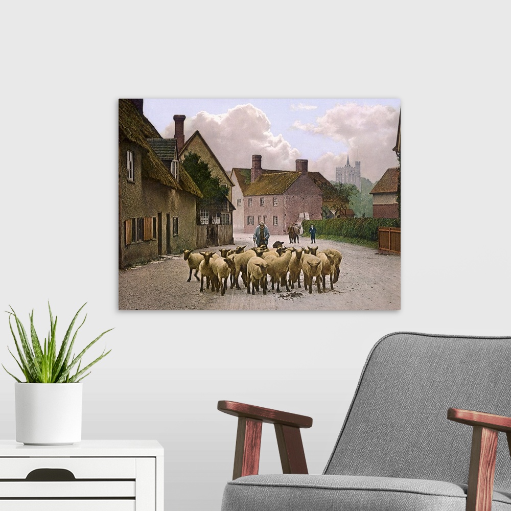 A modern room featuring Sheep in the Village Street
