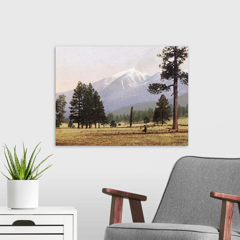 A modern room featuring The San Francisco Mountains near Flagstaff Arizona Vintage Photograph