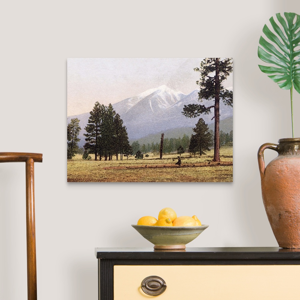A traditional room featuring The San Francisco Mountains near Flagstaff Arizona Vintage Photograph