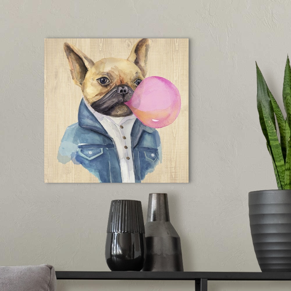 A modern room featuring Humorous illustration of a French bulldog in a jean jacket blowing bubblegum.