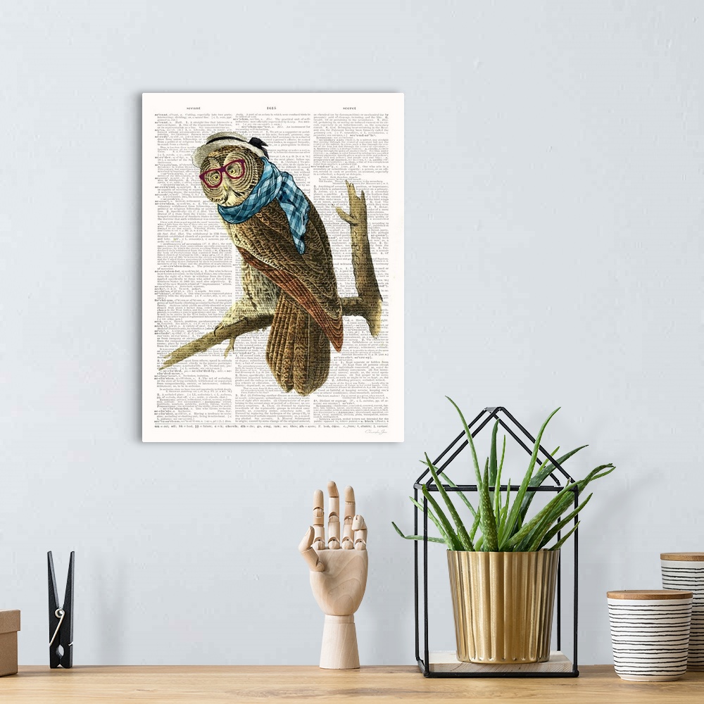 A bohemian room featuring Vintage illustration of an owl with glasses on a dictionary page.