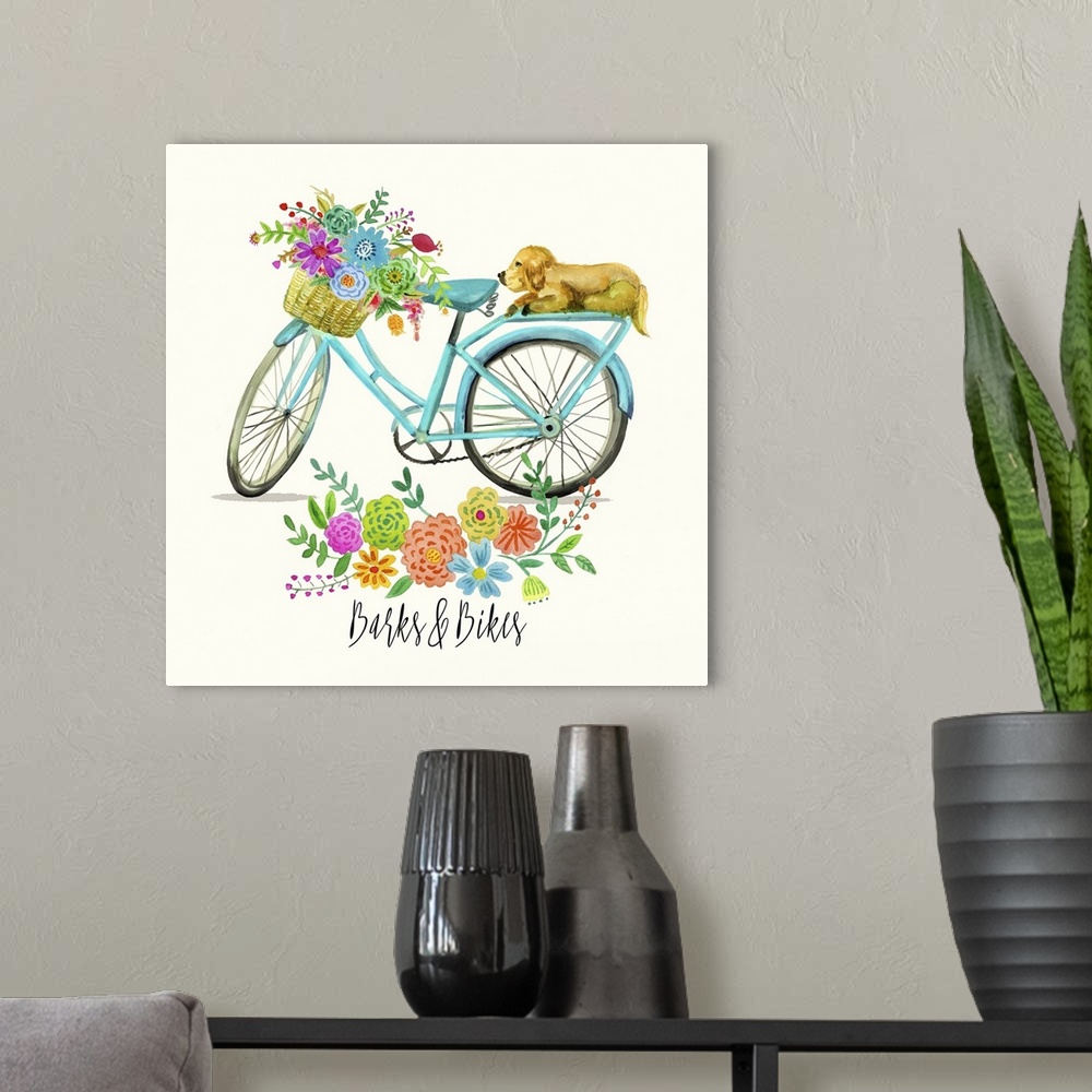 A modern room featuring Barks and Bikes