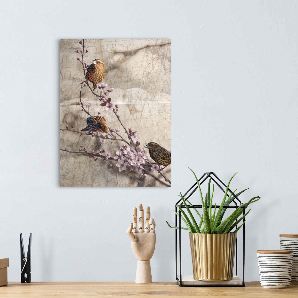 A bohemian room featuring Birds and Blossoms II