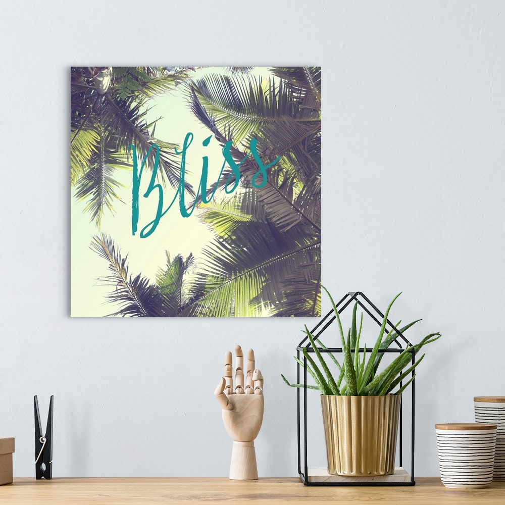 A bohemian room featuring The word "Bliss" in teal script over a vintage-style photograph of palm tree leaves.