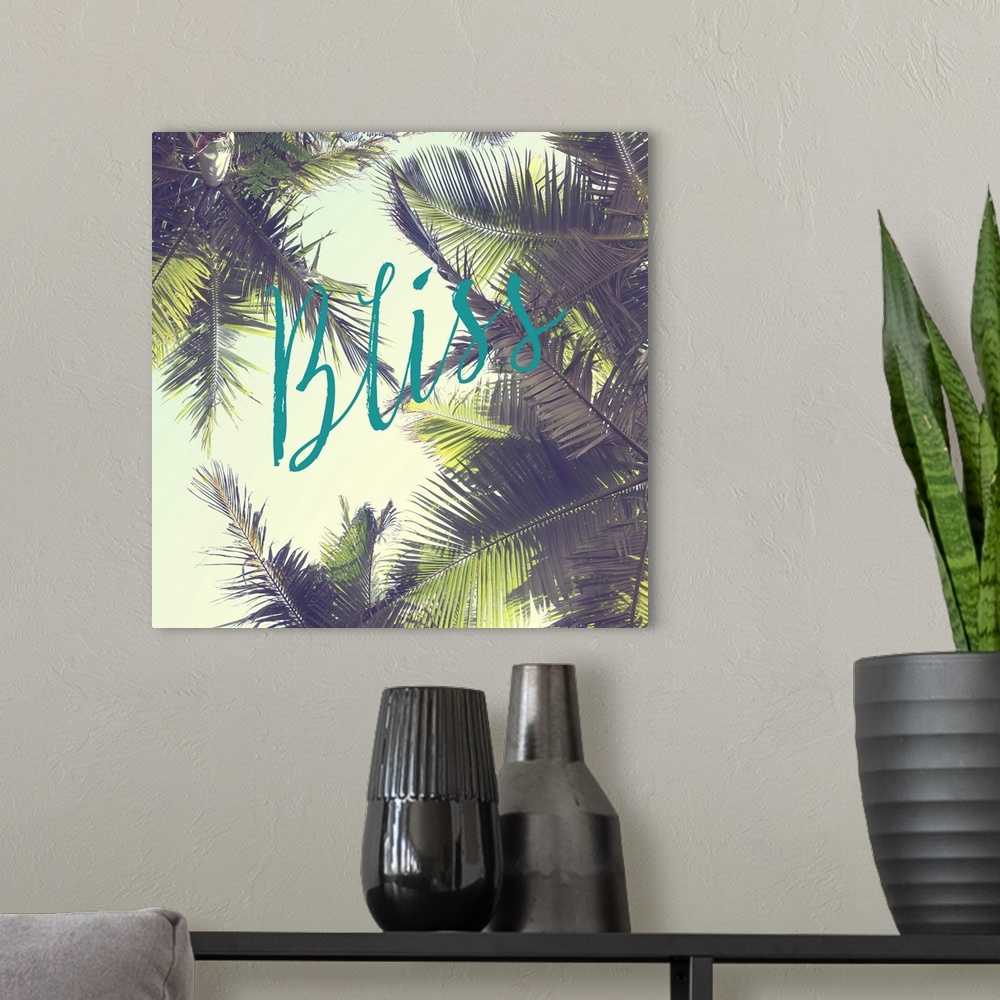 A modern room featuring The word "Bliss" in teal script over a vintage-style photograph of palm tree leaves.