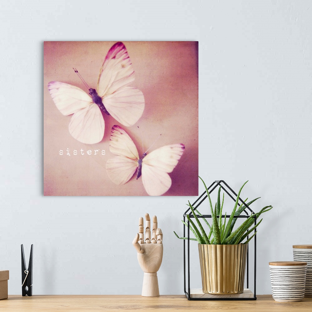 A bohemian room featuring Photograph of colorful butterfly hovering over a warm orange surface, with white text.