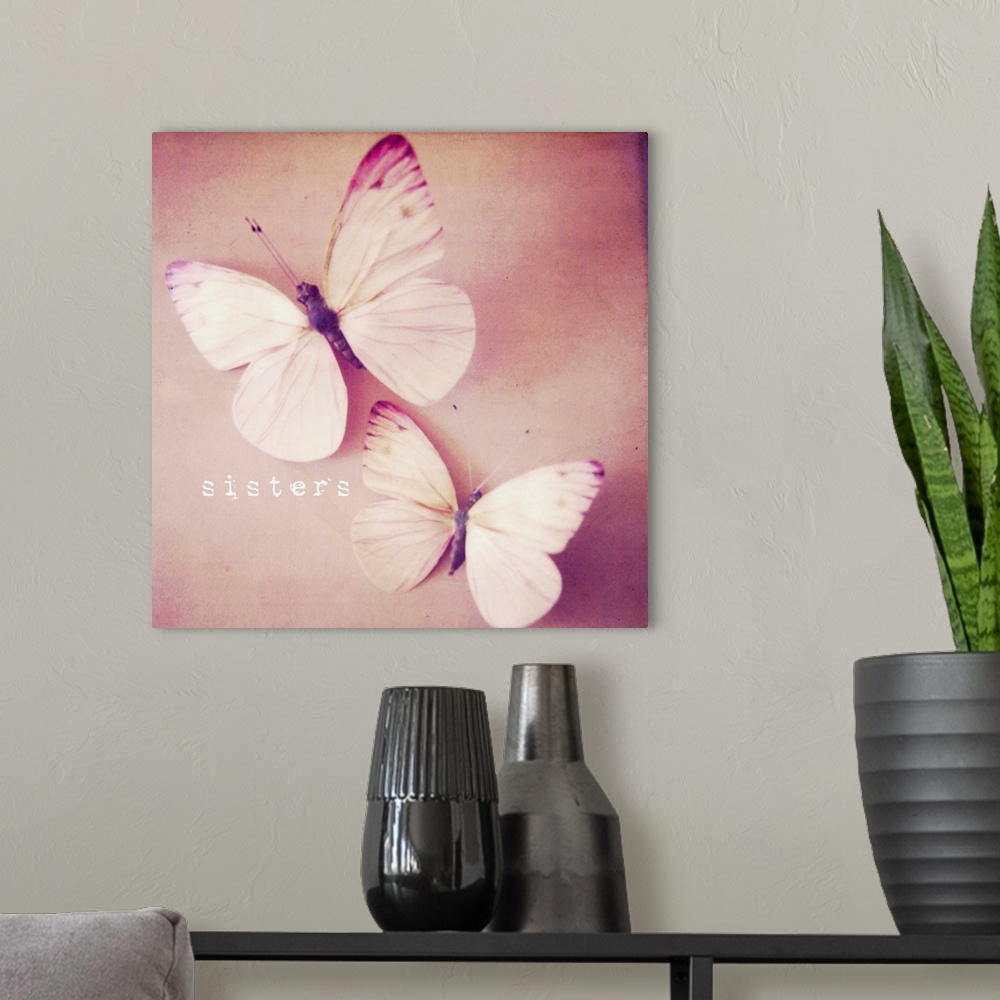 A modern room featuring Photograph of colorful butterfly hovering over a warm orange surface, with white text.