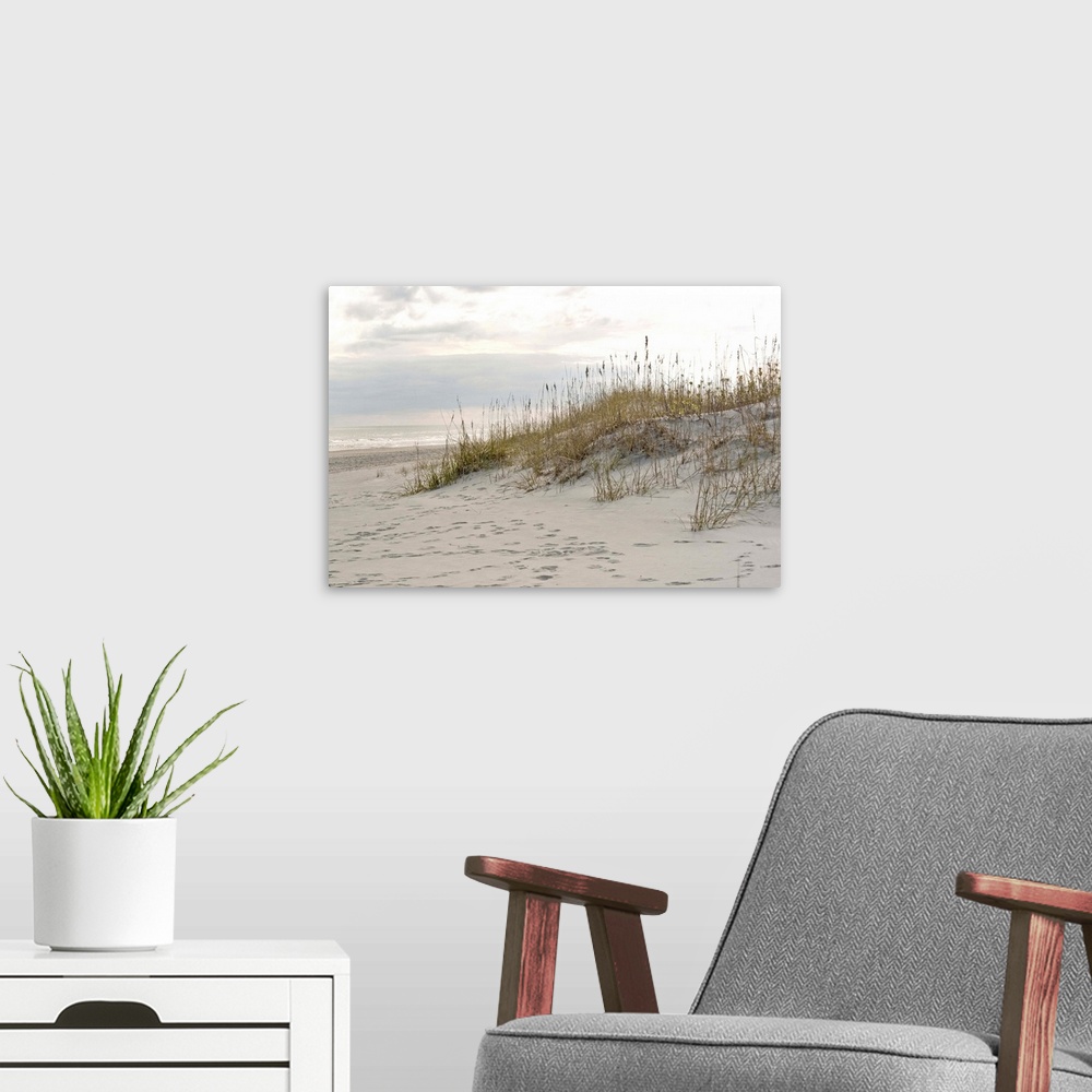 A modern room featuring Photograph of a sandy beach at sunset.