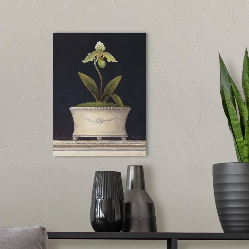 A modern room featuring Chartreuse Sugar Orchid