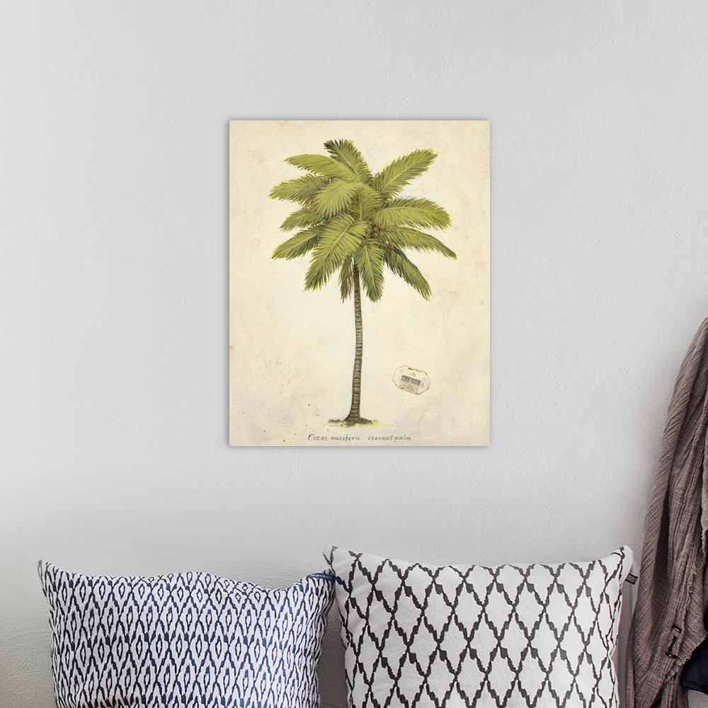 A bohemian room featuring Coconut Palm Illustration