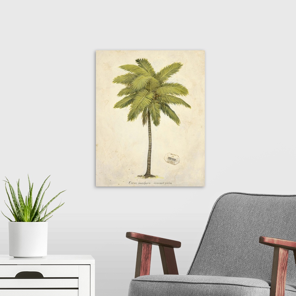 A modern room featuring Coconut Palm Illustration