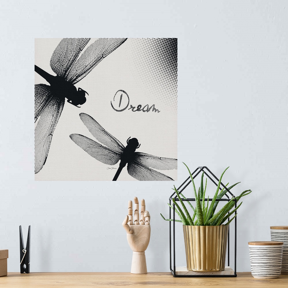 A bohemian room featuring Dragonfly Dreams