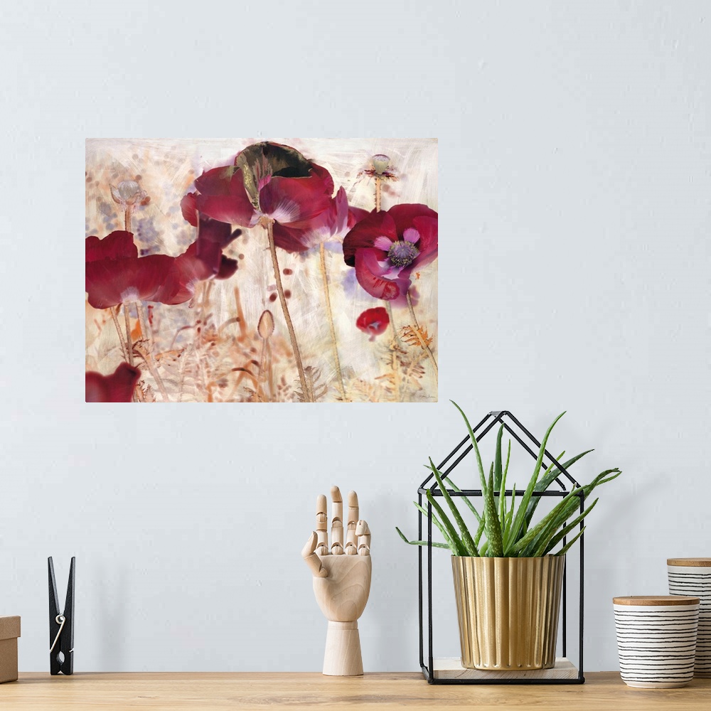 A bohemian room featuring Dreamtime Poppies