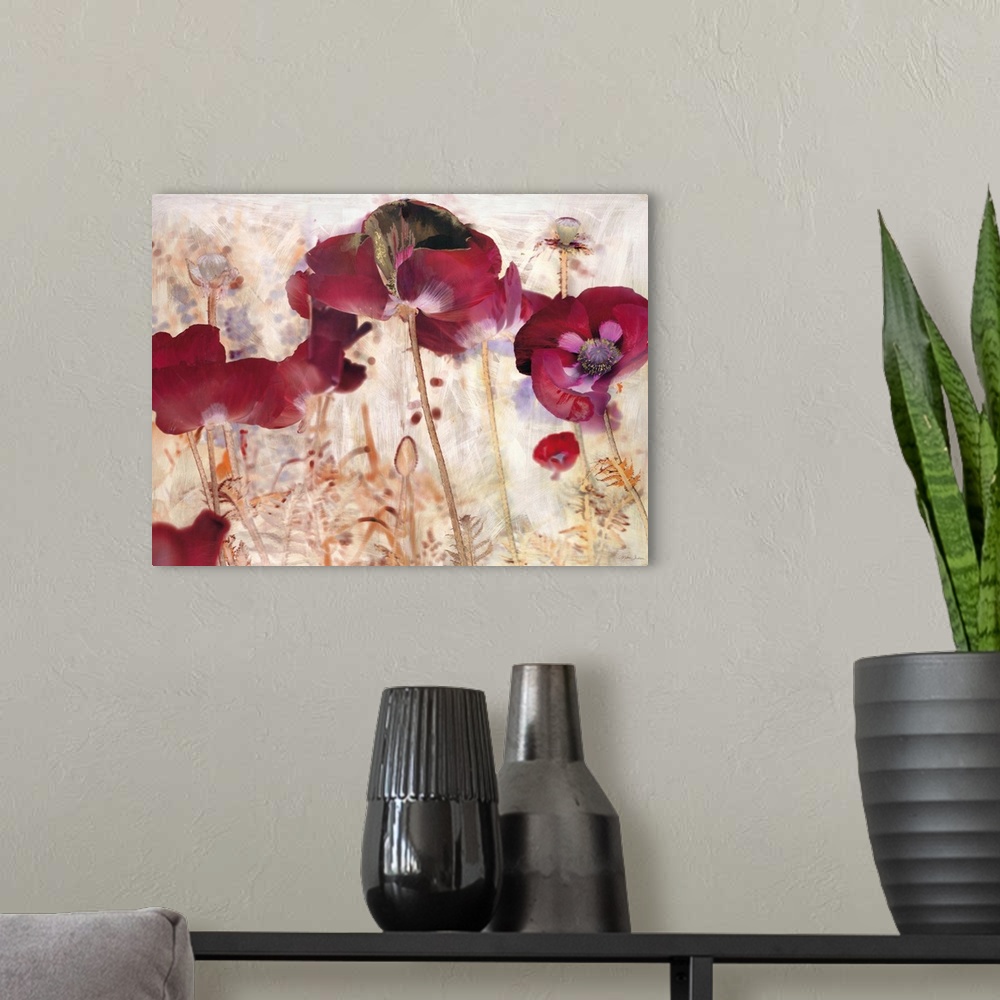 A modern room featuring Dreamtime Poppies