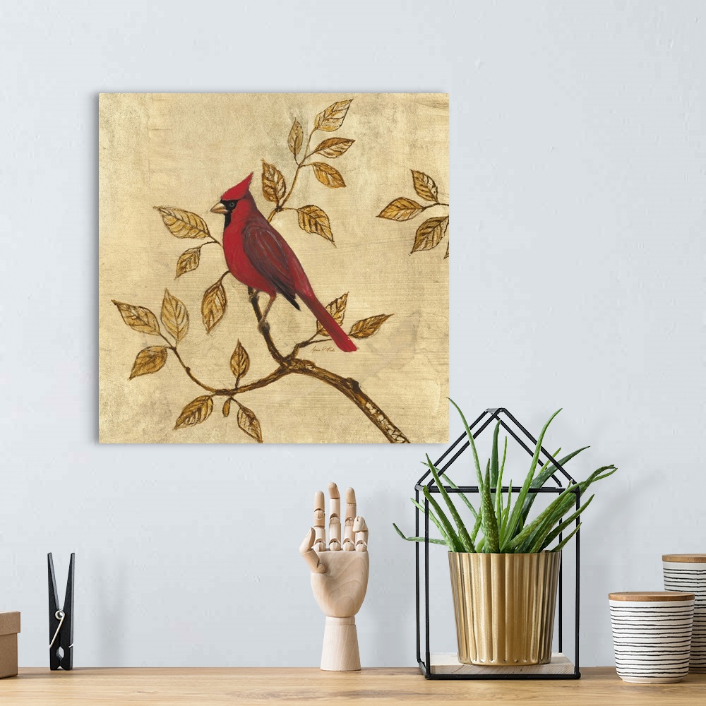A bohemian room featuring Golden Cardinal