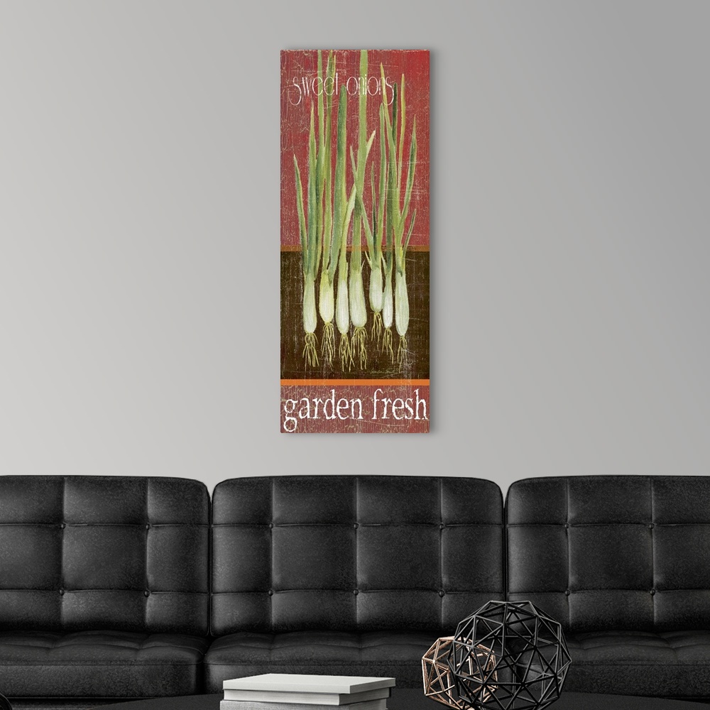 A modern room featuring Green Onions