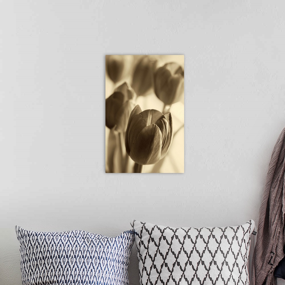A bohemian room featuring Sepia toned photograph of tulips close-up.