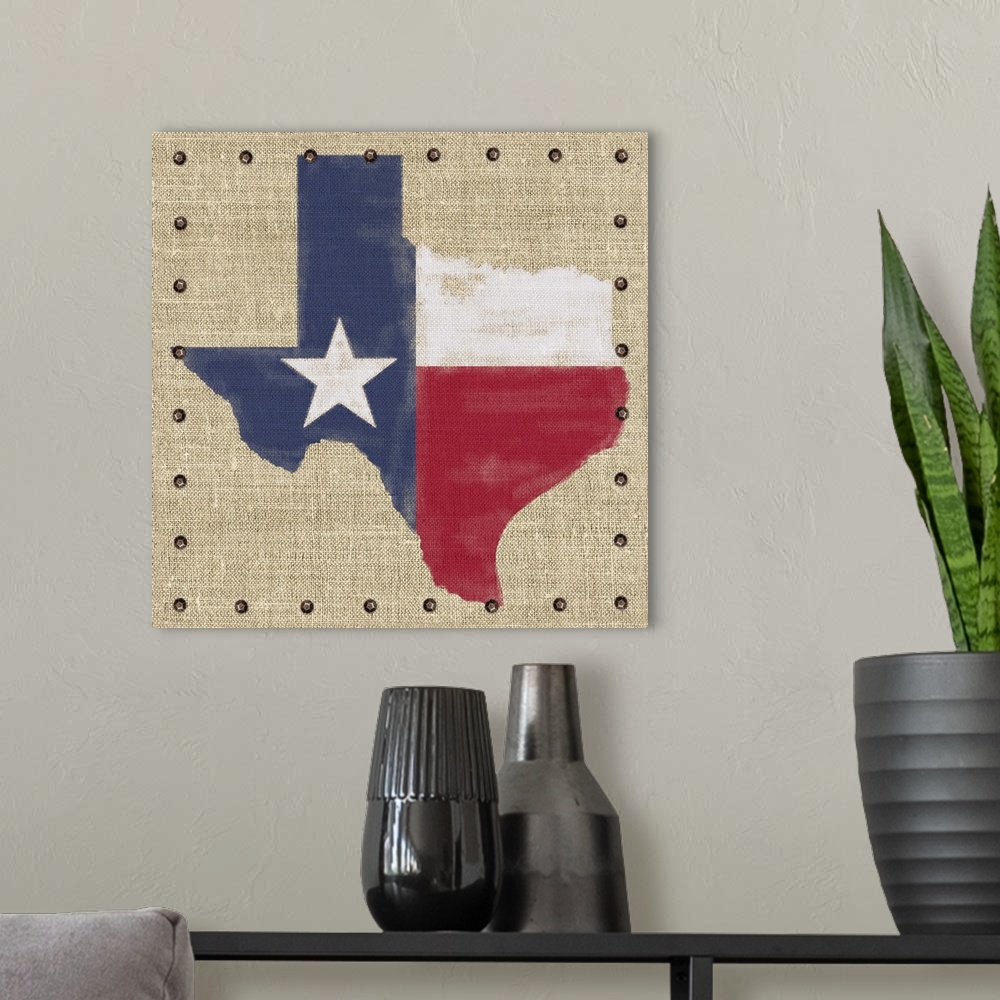 A modern room featuring Lone Star State