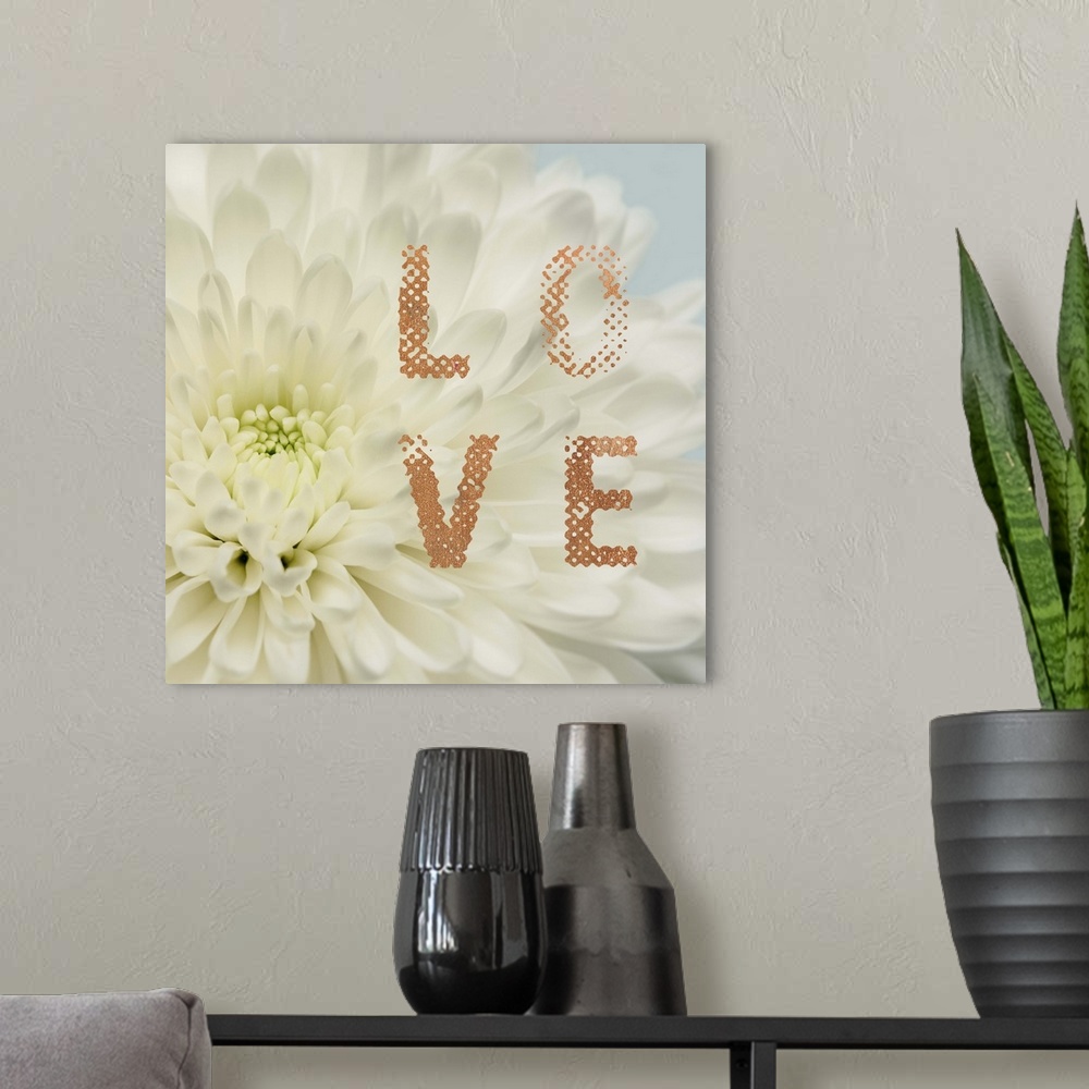 A modern room featuring Love Flower