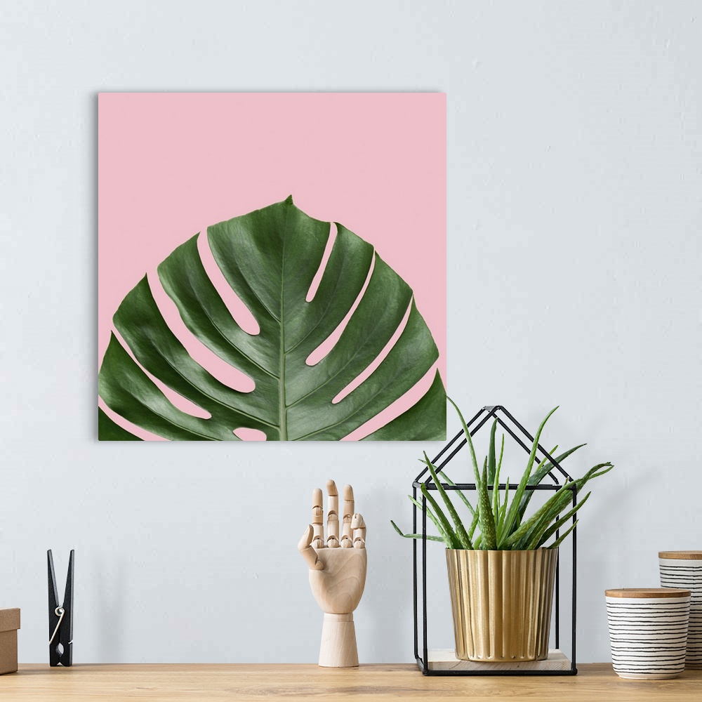 A bohemian room featuring Mod art of a deep green palm leaf on light pink.
