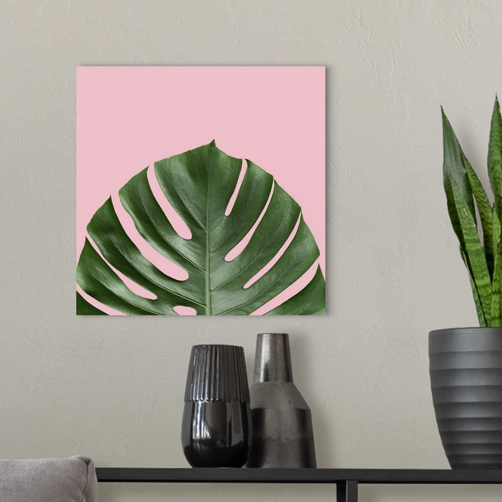 A modern room featuring Mod art of a deep green palm leaf on light pink.