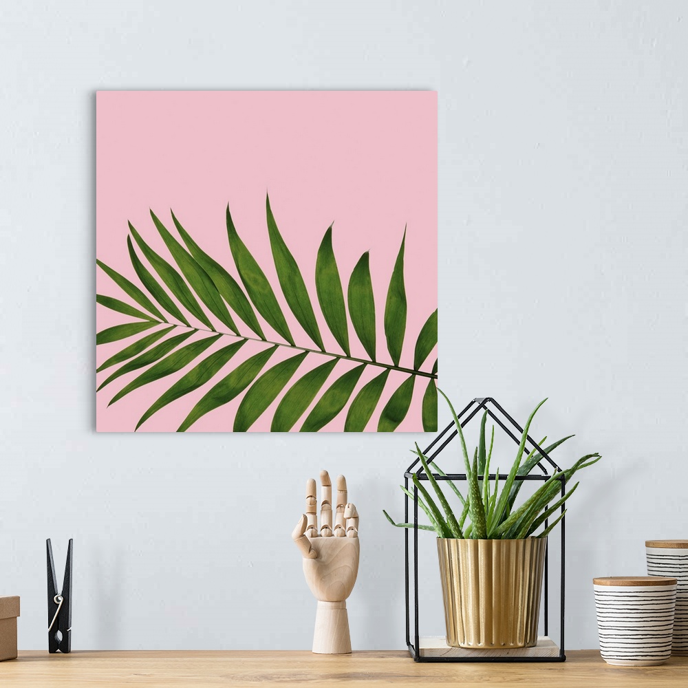 A bohemian room featuring Mod art of a deep green palm leaf on light pink.