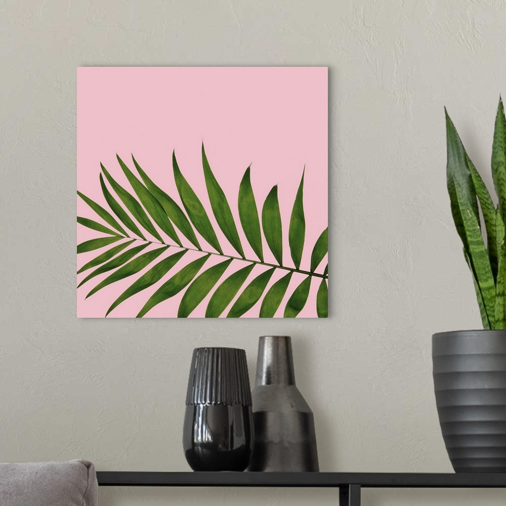A modern room featuring Mod art of a deep green palm leaf on light pink.