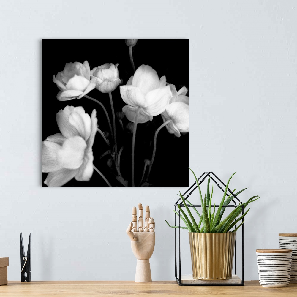 A bohemian room featuring A black and white photograph of white flowers against a black background.