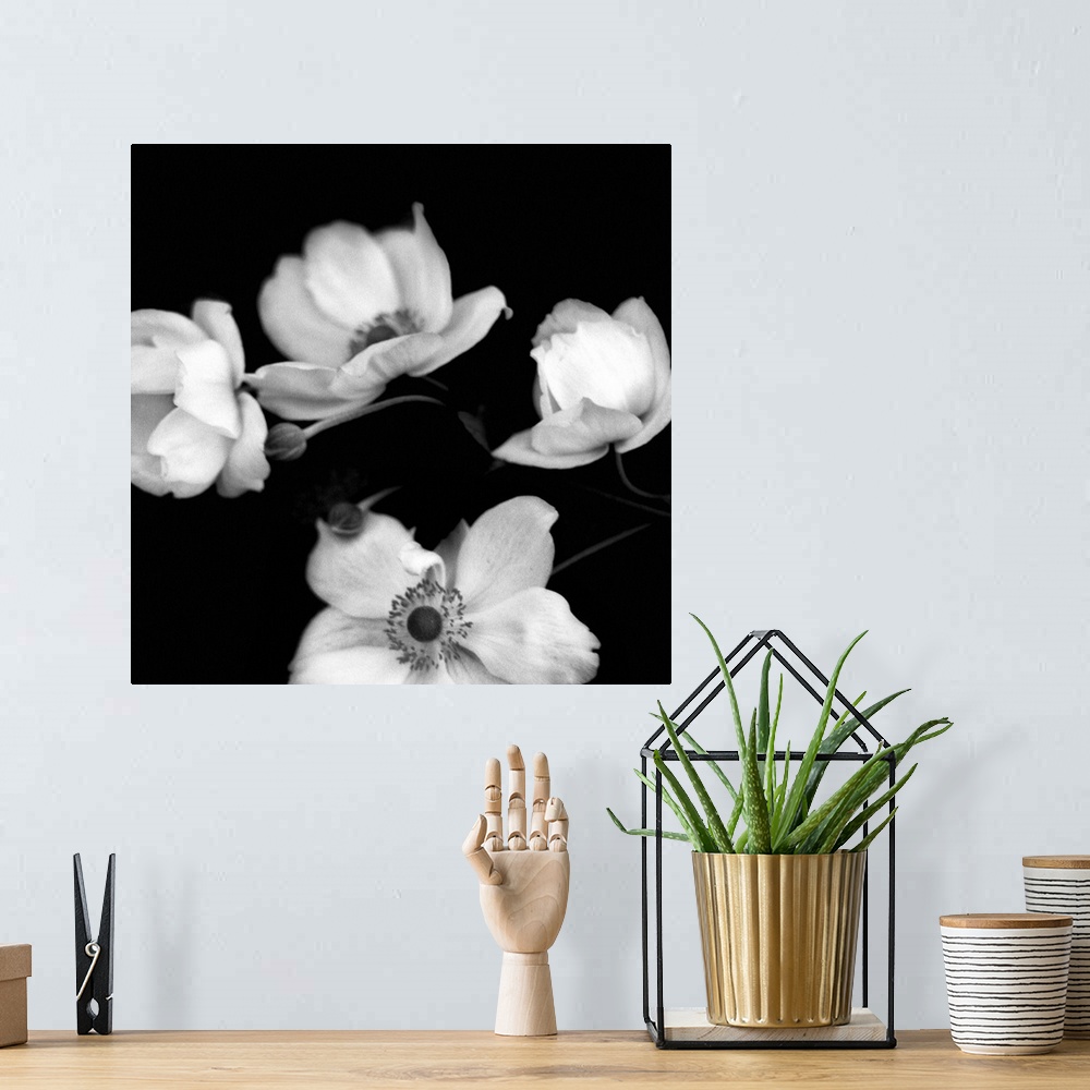 A bohemian room featuring A black and white photograph of white flowers against a black background.