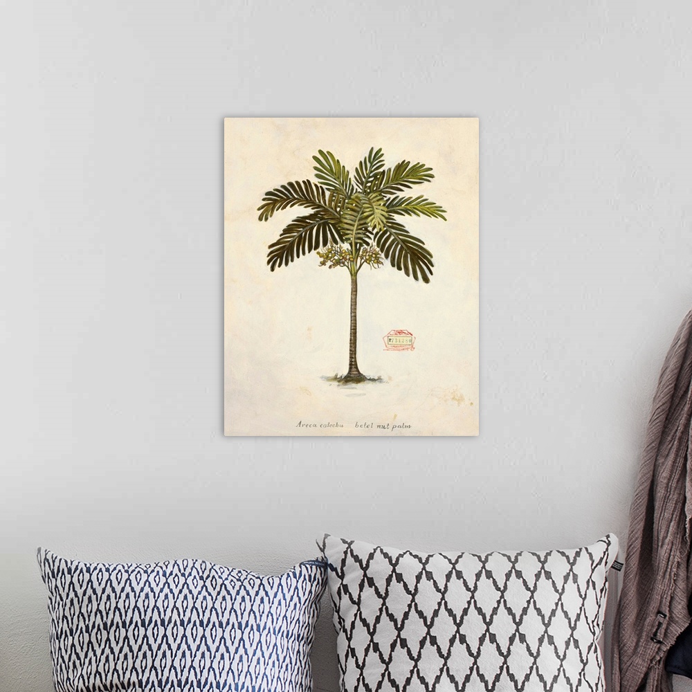 A bohemian room featuring Nut Palm Illustration