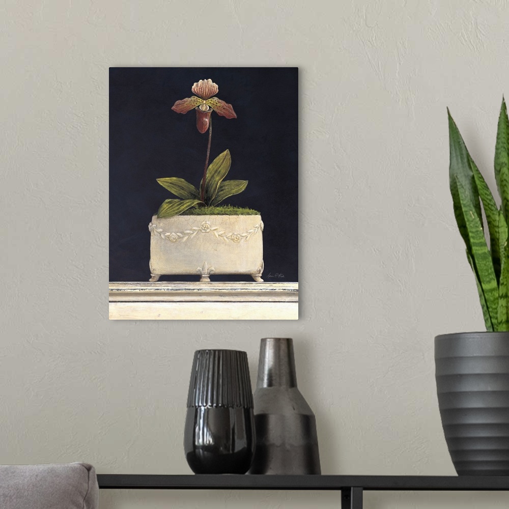 A modern room featuring Plum Sugar Orchid