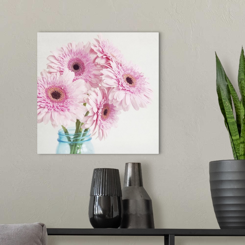A modern room featuring Pretty Pink Daisies