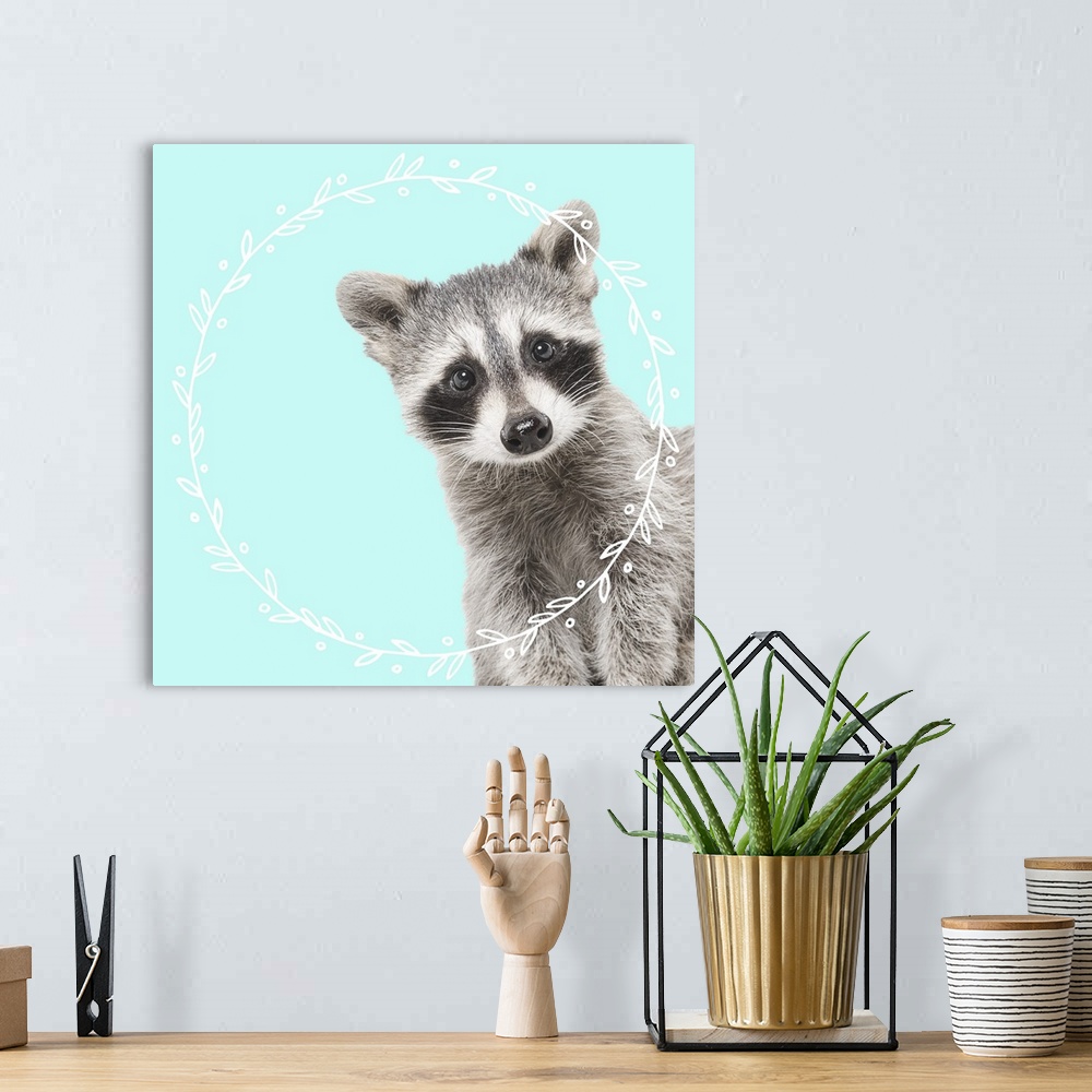 A bohemian room featuring Black and white photograph of a baby raccoon on the middle of a light blue background with an ill...