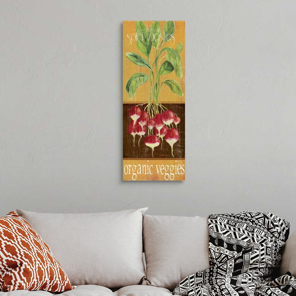A bohemian room featuring Red Radishes