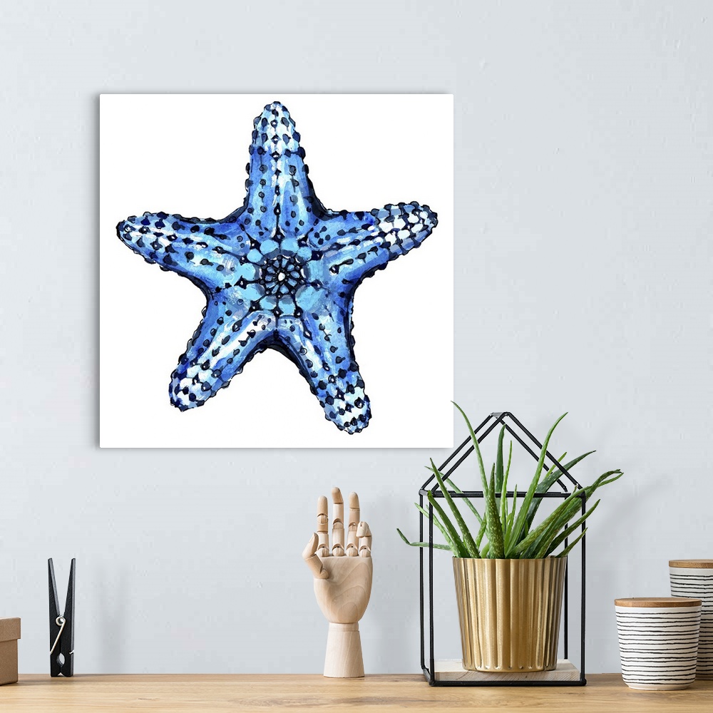 A bohemian room featuring Sea Blue Starfish