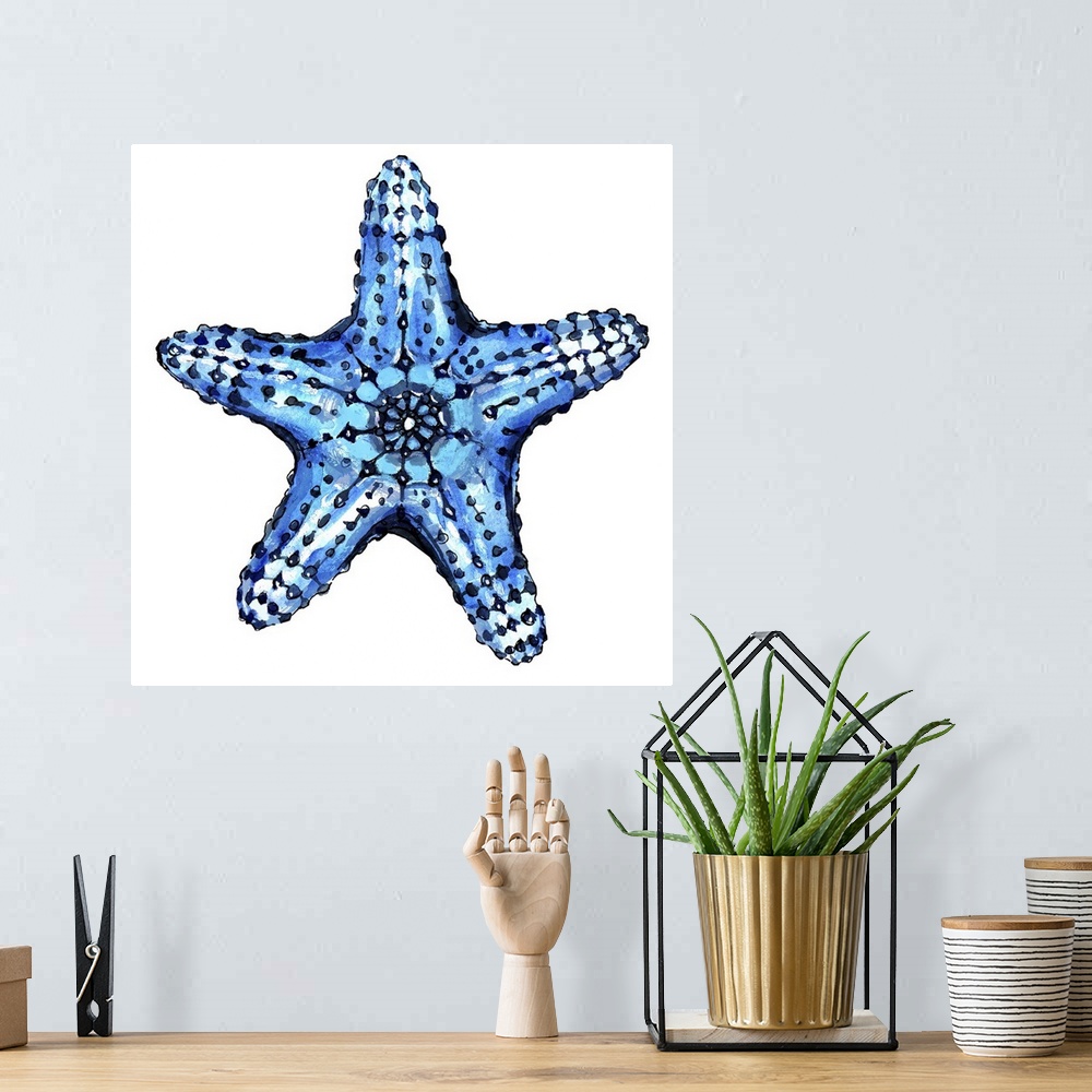 A bohemian room featuring Sea Blue Starfish