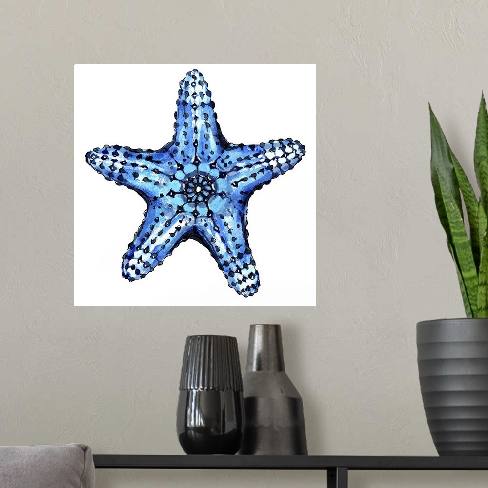 A modern room featuring Sea Blue Starfish