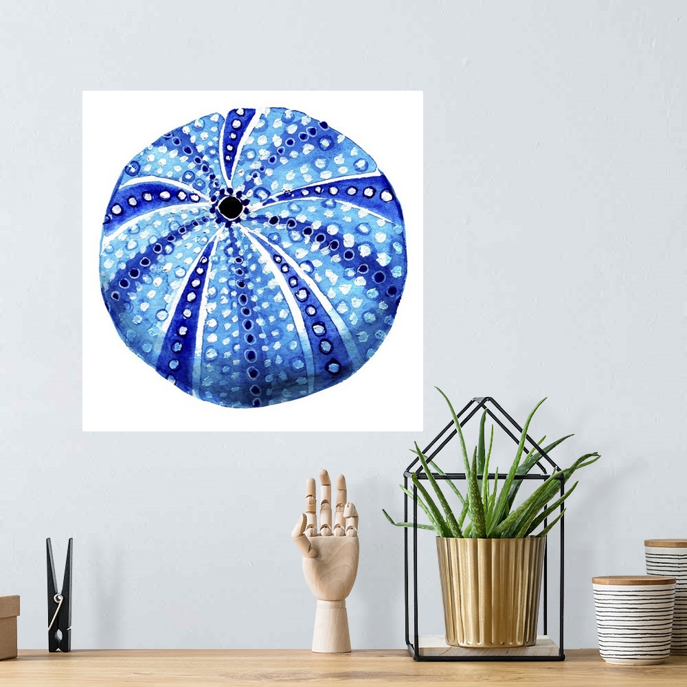 A bohemian room featuring Sea Blue Urchin