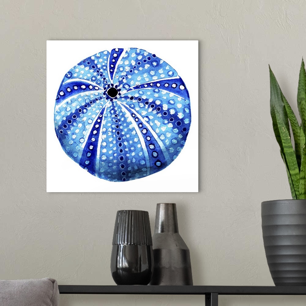 A modern room featuring Sea Blue Urchin