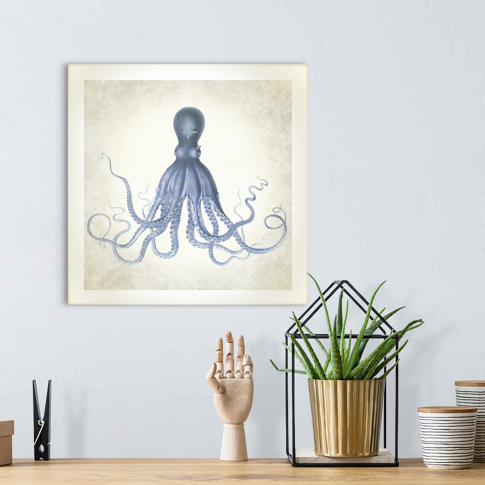 A bohemian room featuring Sea Life, Octopus