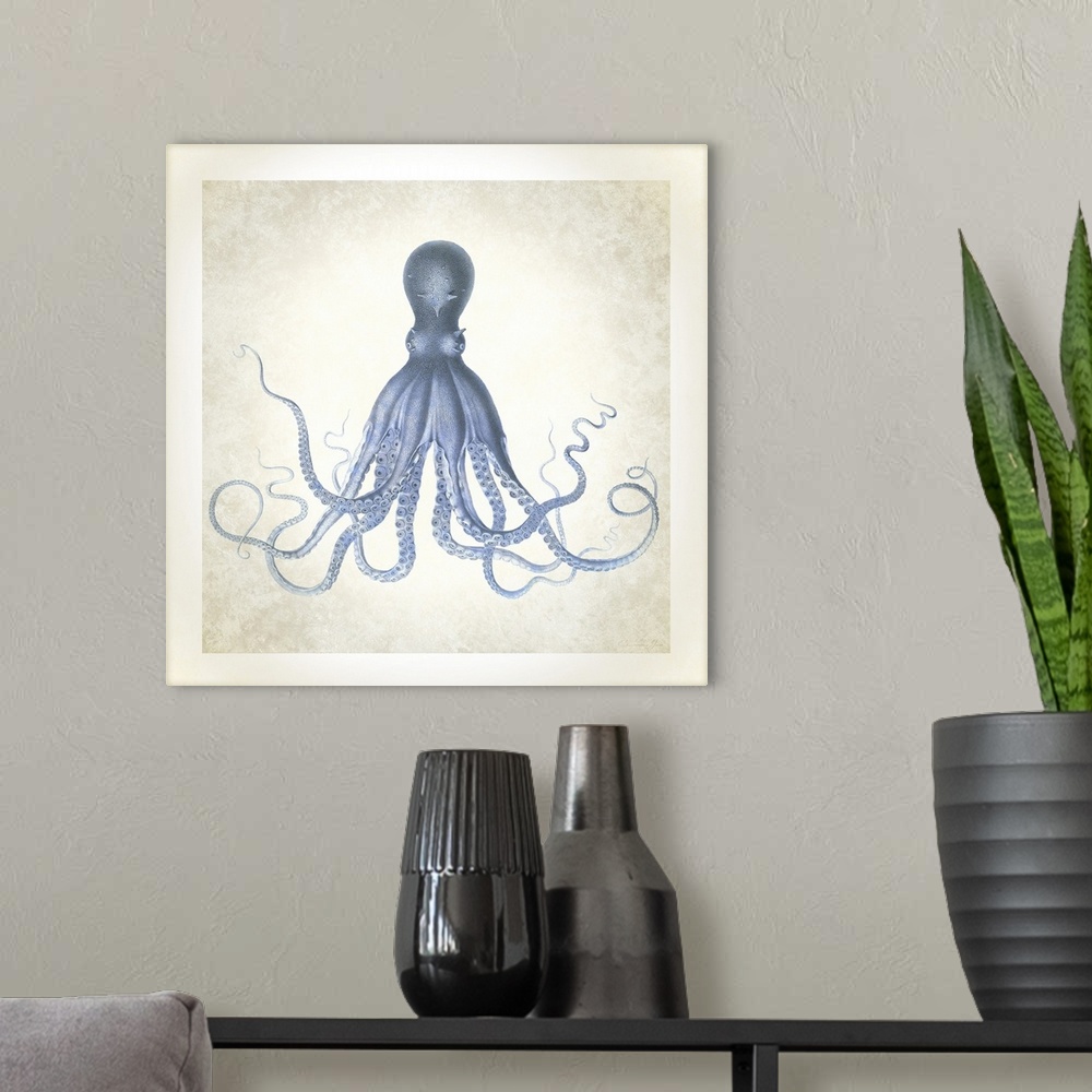 A modern room featuring Sea Life, Octopus