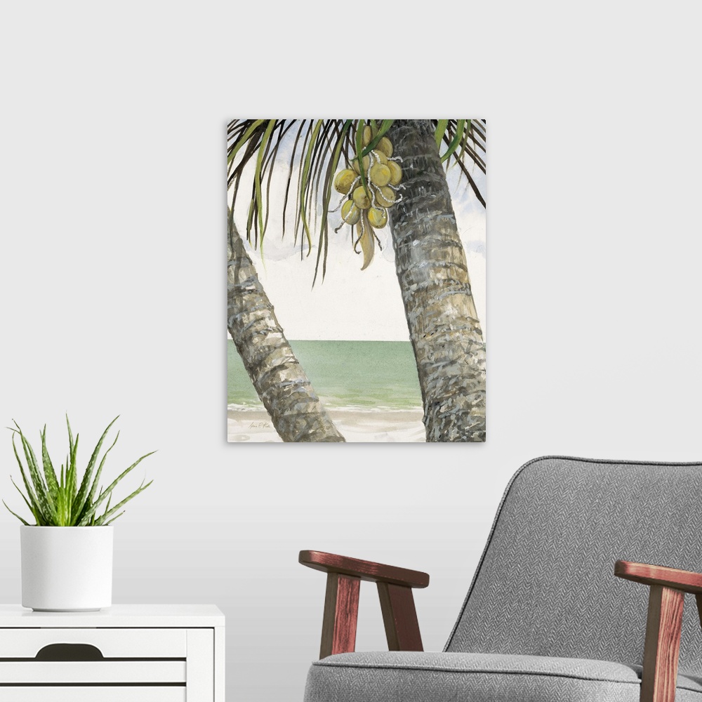 A modern room featuring Seaside Coconuts