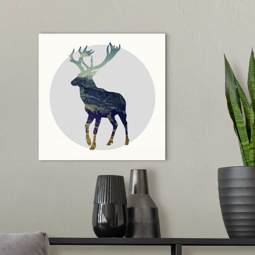 A modern room featuring Spirit Stag