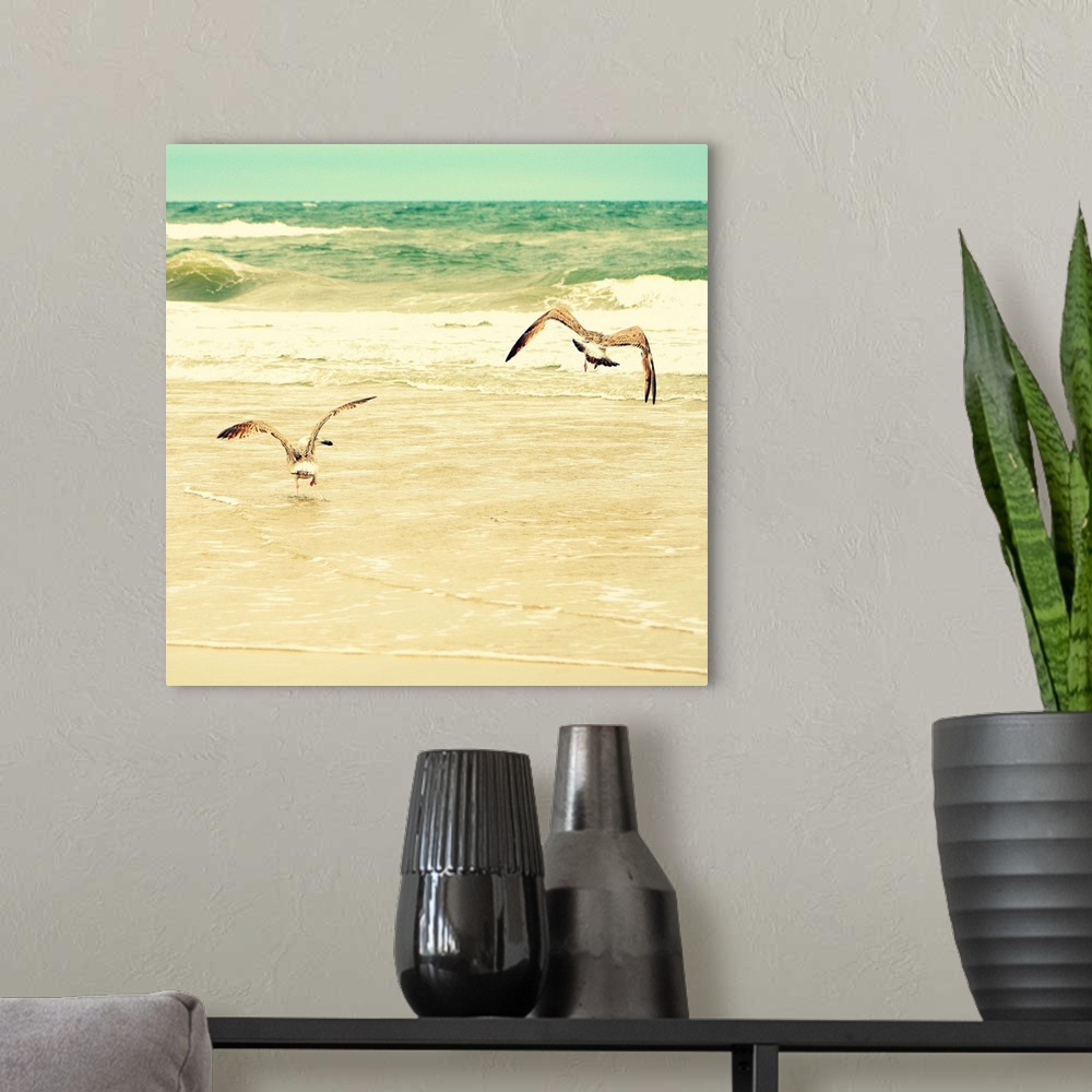 A modern room featuring Square photograph of two seagulls on the ocean shore with golden tones.
