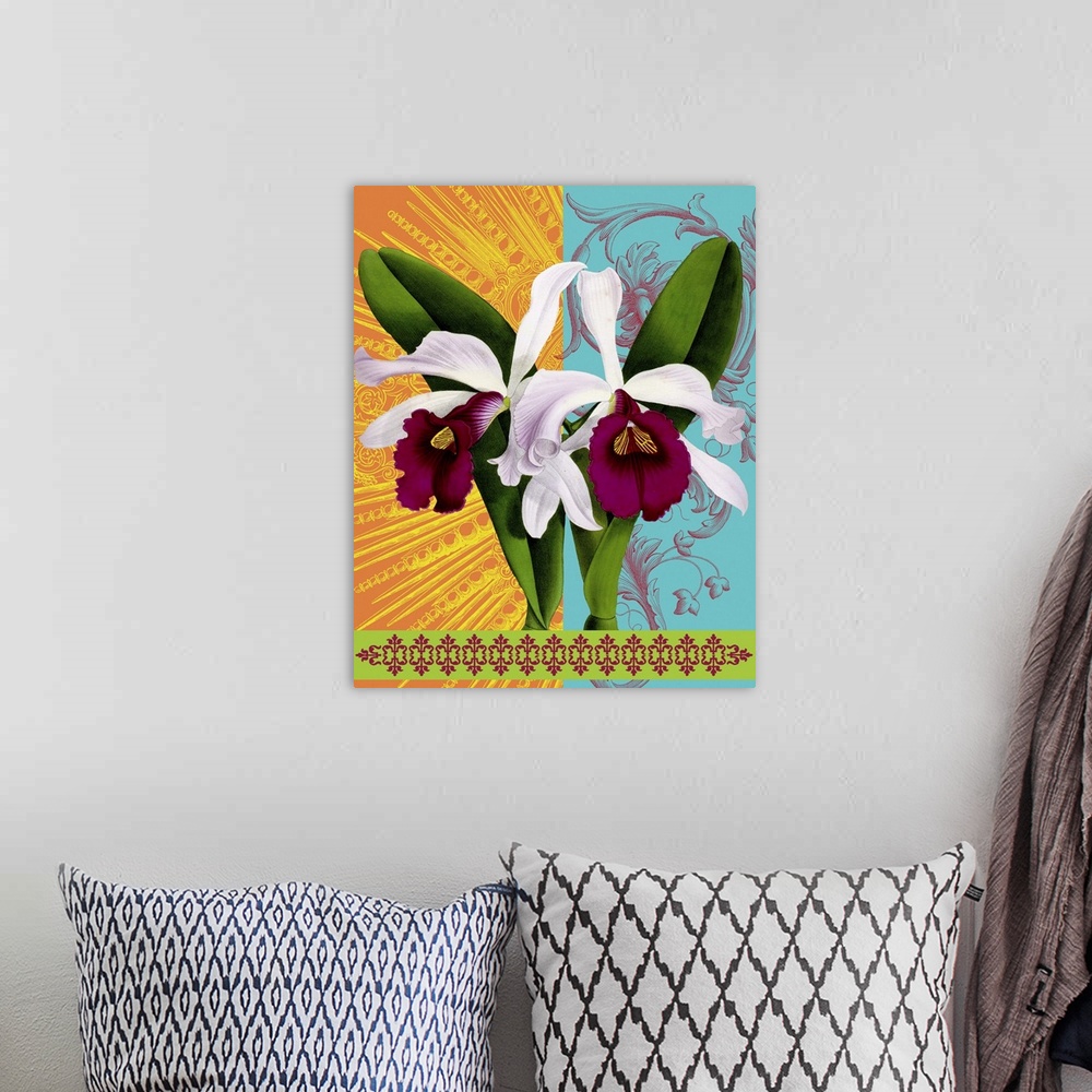 A bohemian room featuring Star Burst Orchid