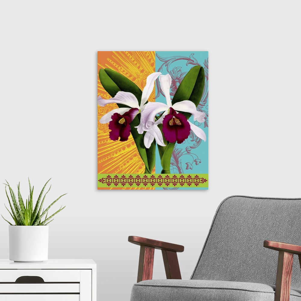 A modern room featuring Star Burst Orchid