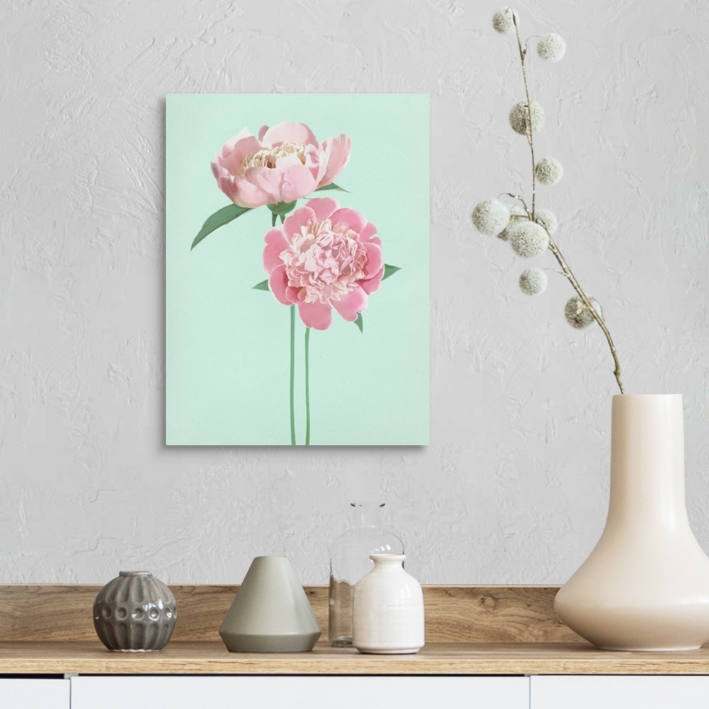 A farmhouse room featuring Large illustration of two pink peonies with long green stems on a pale blue background.