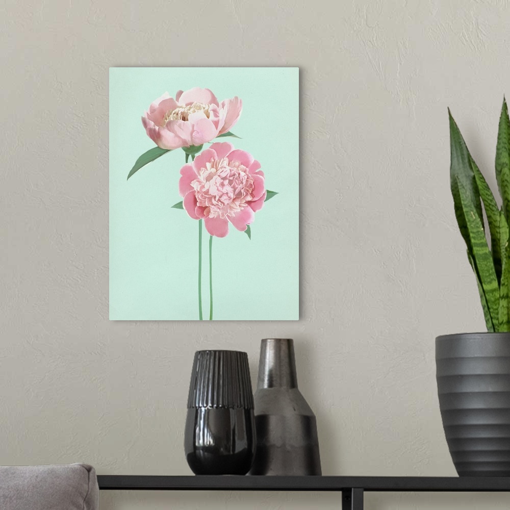 A modern room featuring Large illustration of two pink peonies with long green stems on a pale blue background.