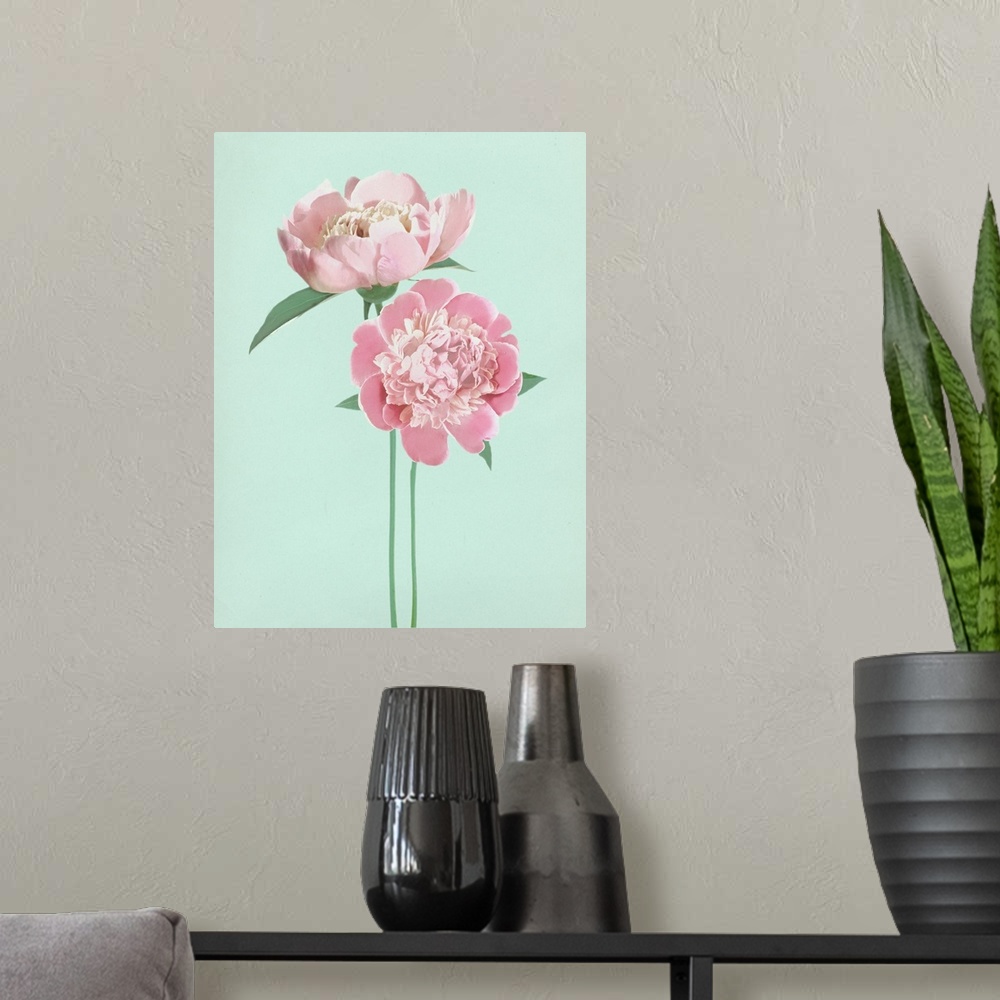 A modern room featuring Large illustration of two pink peonies with long green stems on a pale blue background.
